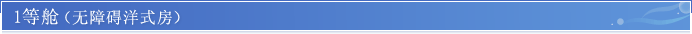 1等舱（无障碍洋式房）