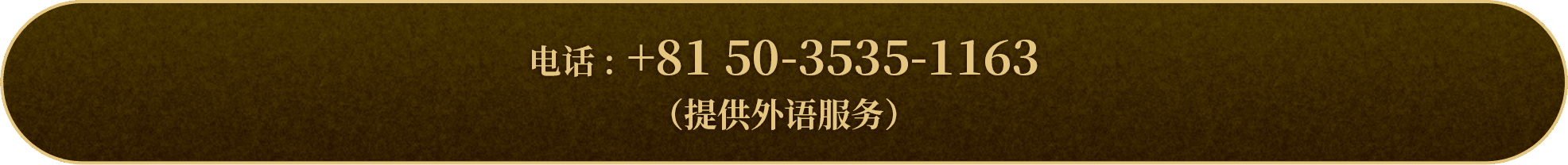 电话: +81 50-3535-1163（提供外语服务）