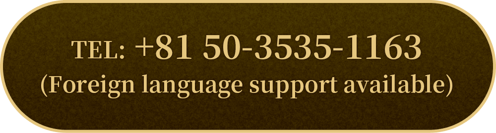 +81 50-3535-1163
