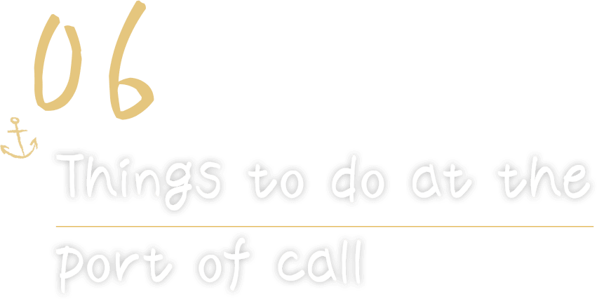 06 Things to do at the port of call