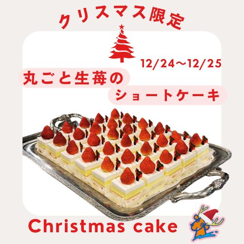 christmas cake3.jpg