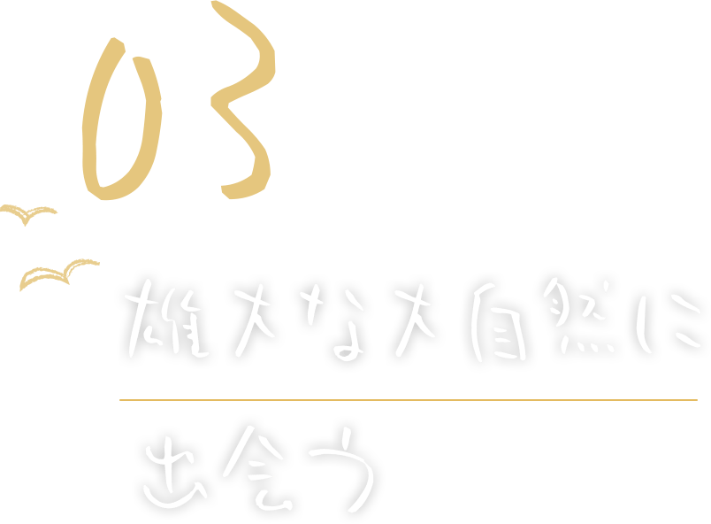 雄大な大自然に出会う