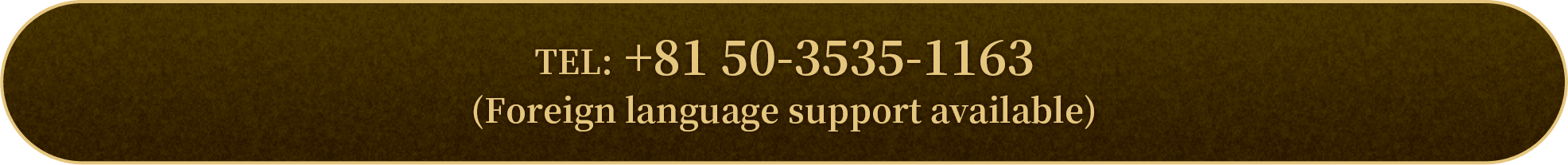 電話: +81 50-3535-1163（提供外語服務）