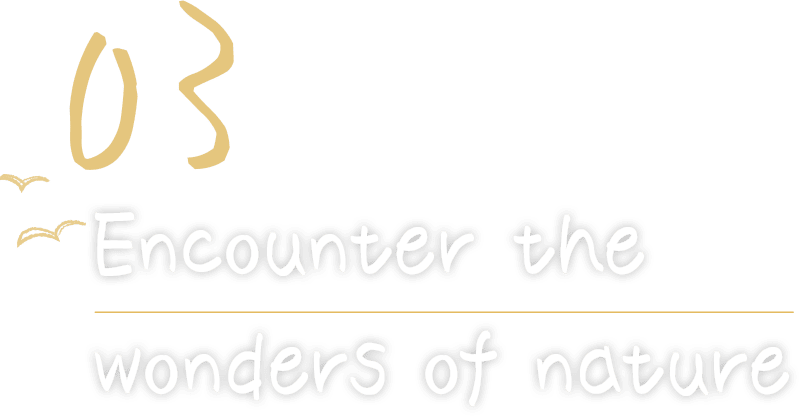 03 與宏偉的大自然相遇